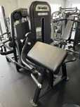 Maszyny Technogym Biceps Curl,Arm Extension,Glute !