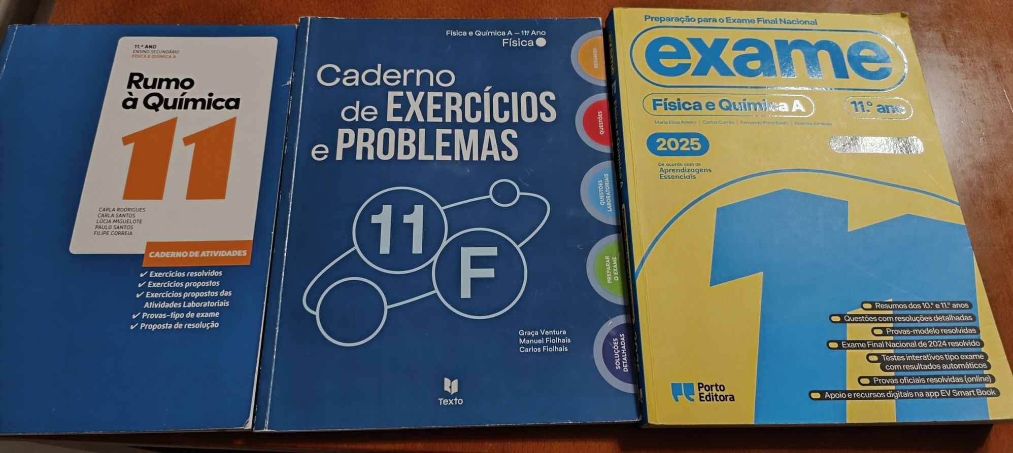 Caderno Exercícios 11°ano