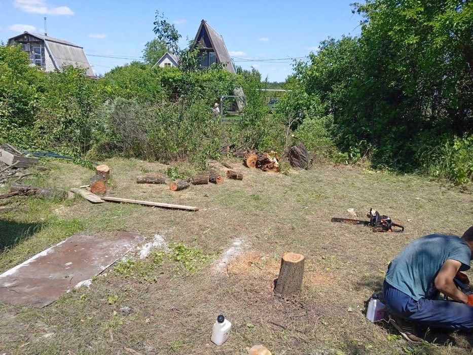 Расчистка УЧАСТКА /Уборка территории/СПИЛ корчевание деревьев/ВЫВОЗ