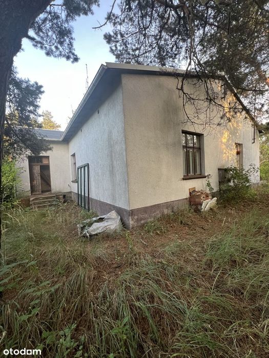 Przestronny dom z ogrodem blisko lasu i jeziora