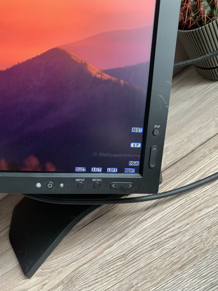 Монитор 24.1 NEC MultiSync P242W