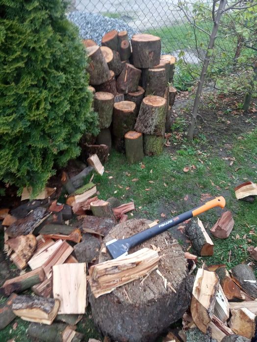 SUCHE Owocowe drzewo do wedzenia śliwa drewno jabłoń wędzarnia grill