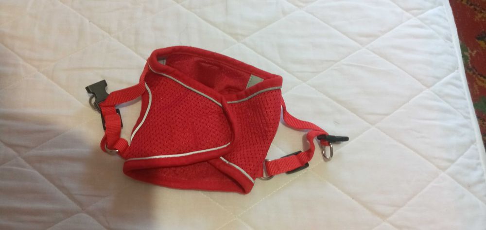 Шлейки для маленьких пород собак