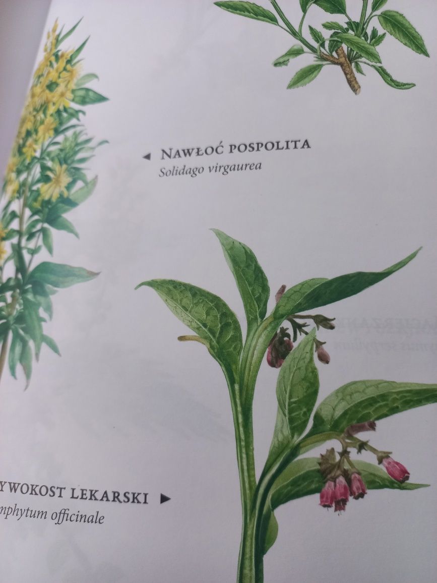"Apteka Pana Boga" Maria Treben