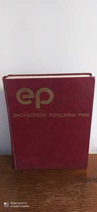 Encyklopedia popularna PWN Warszawa 1992