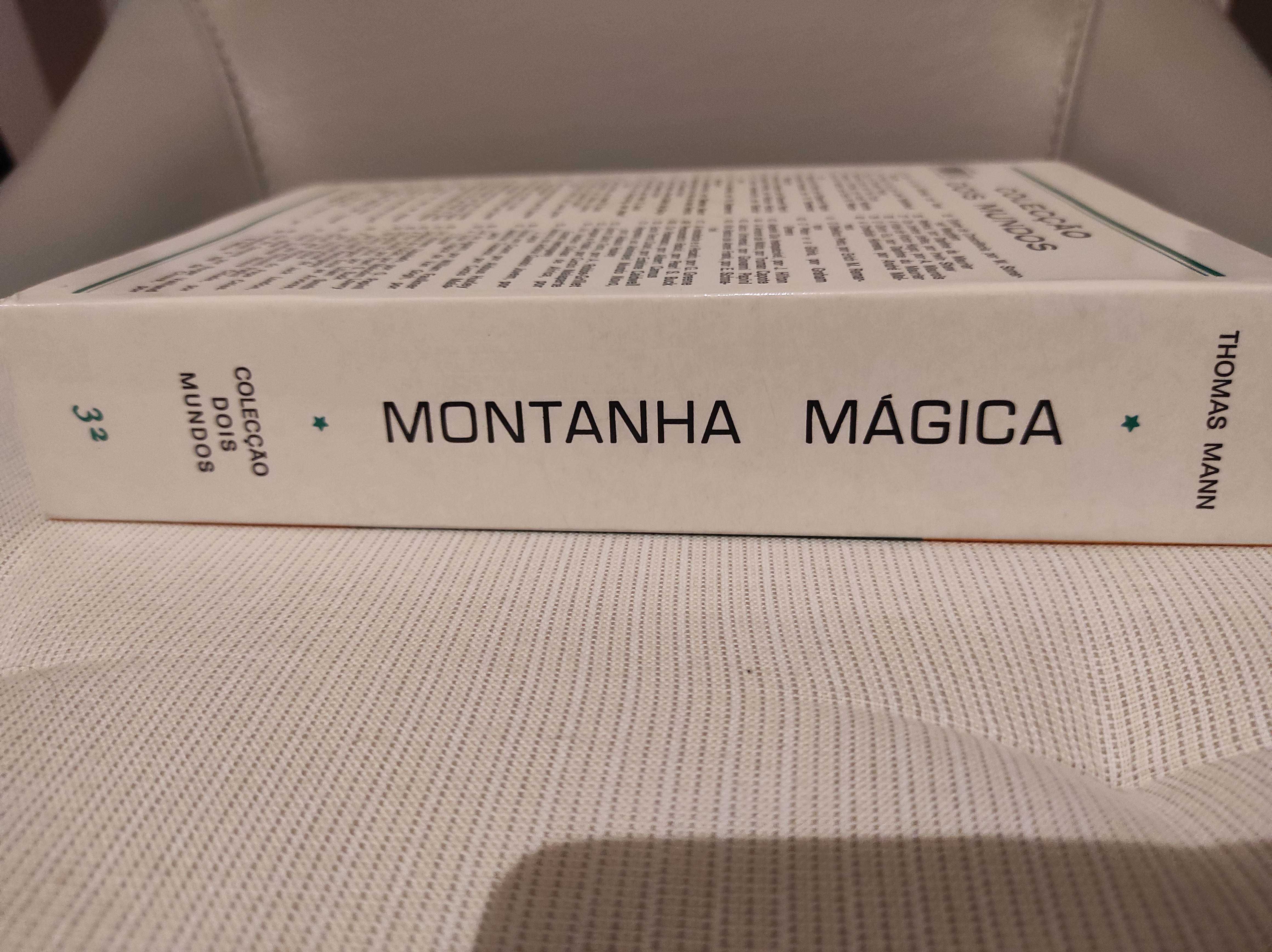 Thomas Mann Montanha Magica (Novo)
