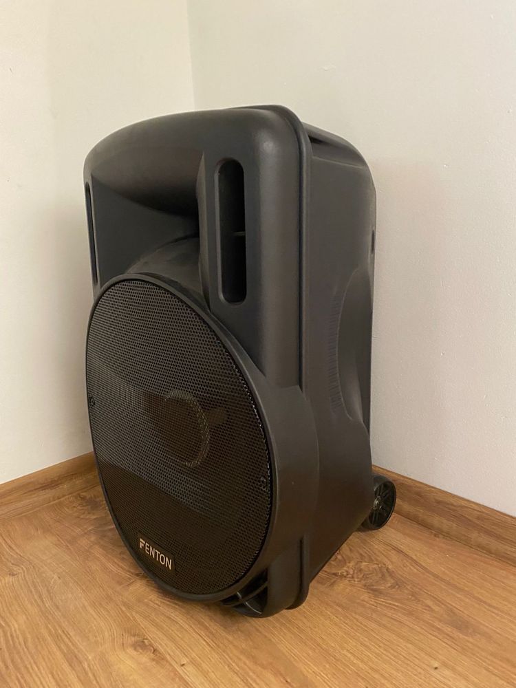 Głośnik, kolumna mobilna z mikrofonem FENTON FT15LED 15” 800W