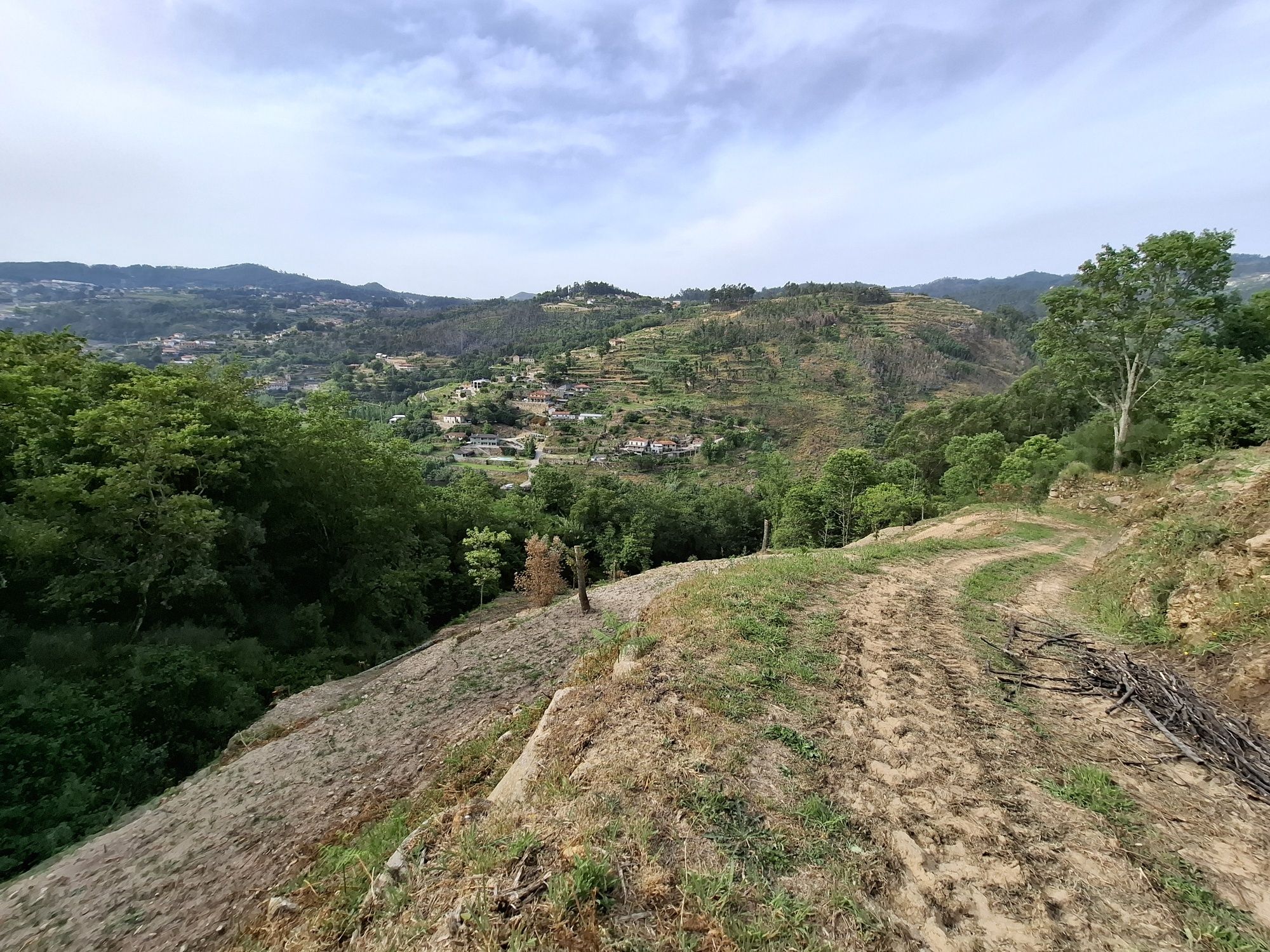 Ruína de moinho, ribeiros, nascente e vista Douro - 3.860m² em Cinfães