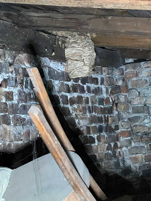 Opryski na KOMARY i KLESZCZE Likwidacja gniazd OS i SZERSZENI OZON