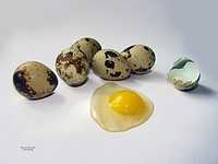 Перепелині яйця, дієтичний продукт