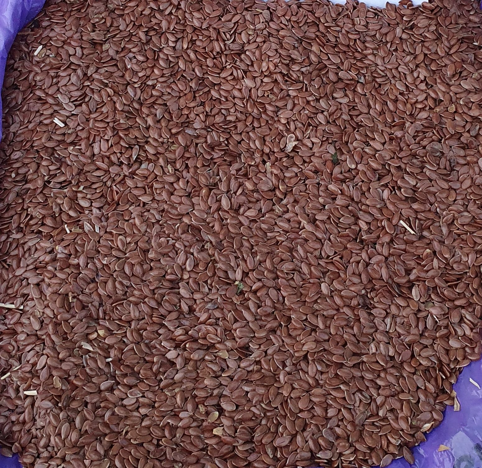 Продам насіння льна коричневого.