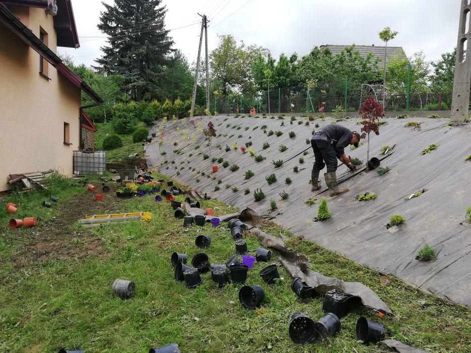 Zakładanie ogrodów /wycinka drzew /sprzątanie posesji /pielęgnacja
