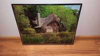 Stary domek w lesie, \foto Netherlands, 90s 50,5cmx40,5cm