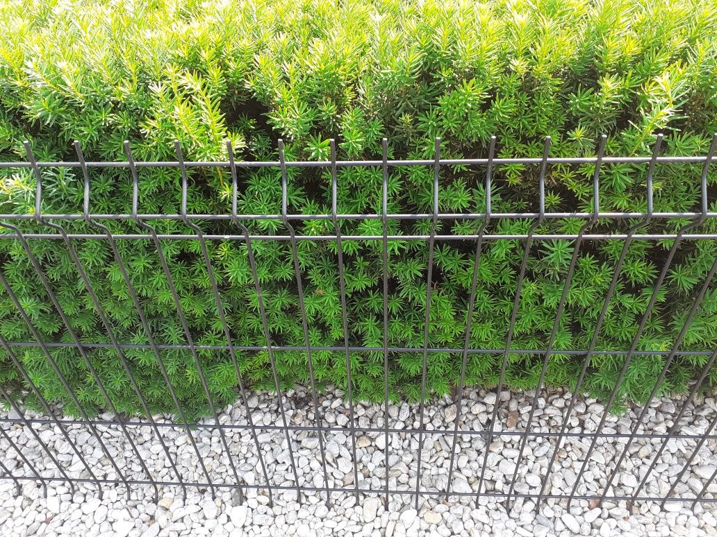 Panel ogrodzeniowy