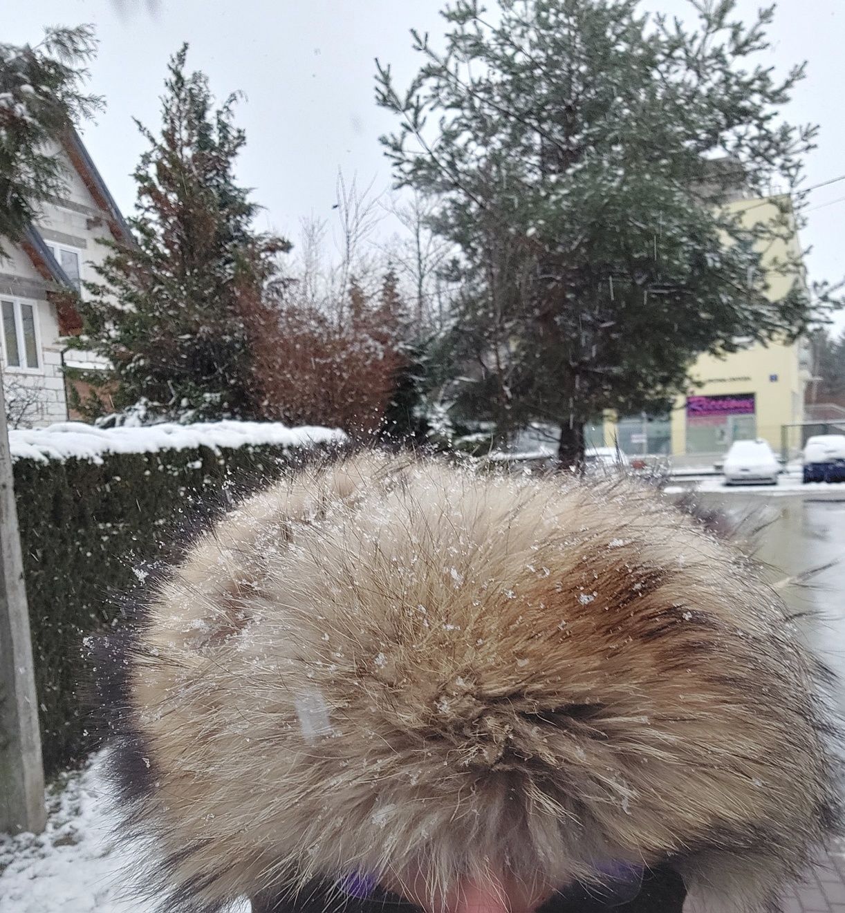 Papacha z jenota i skóry owczej