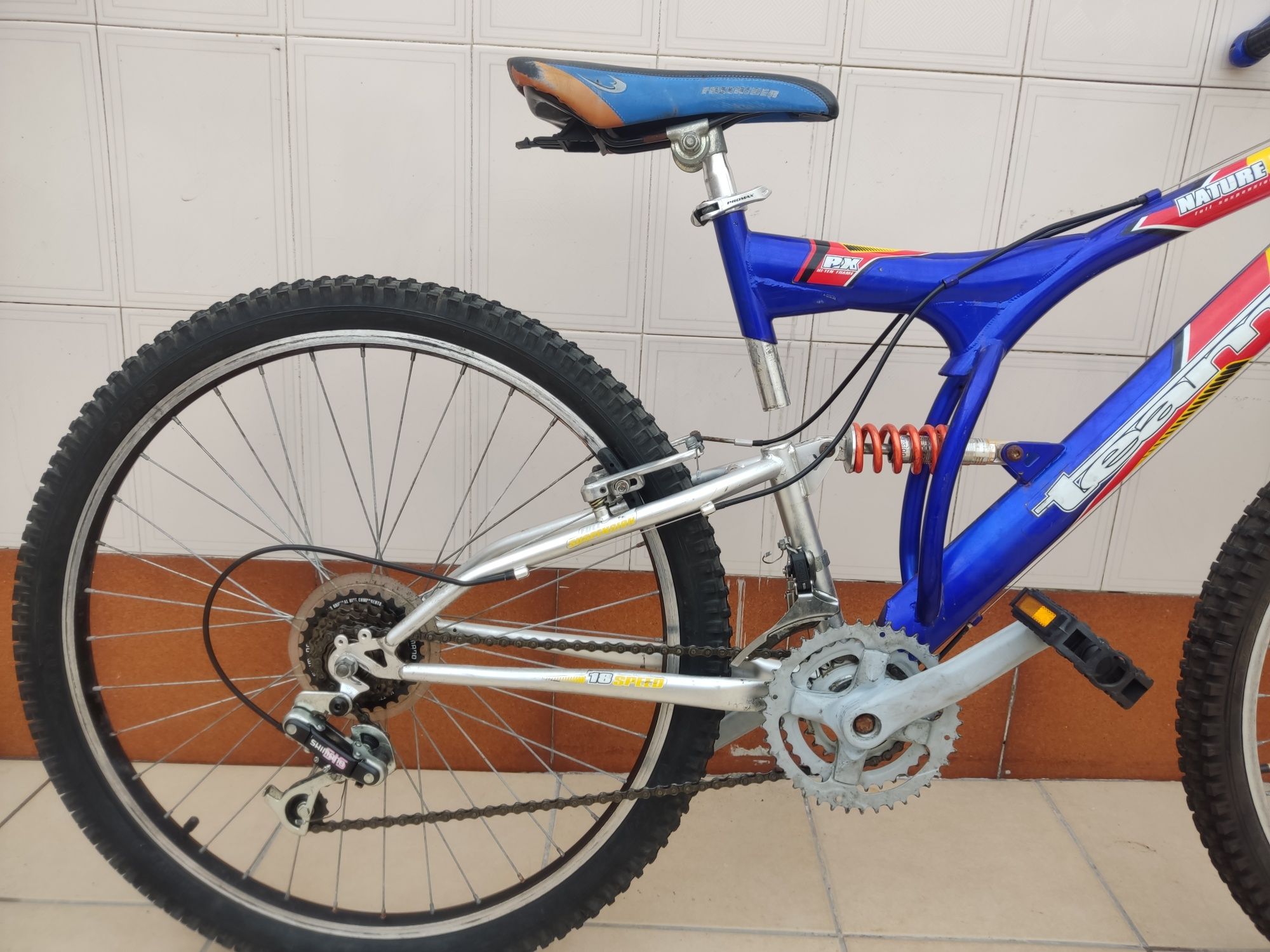 Bicicleta  Nature DS50