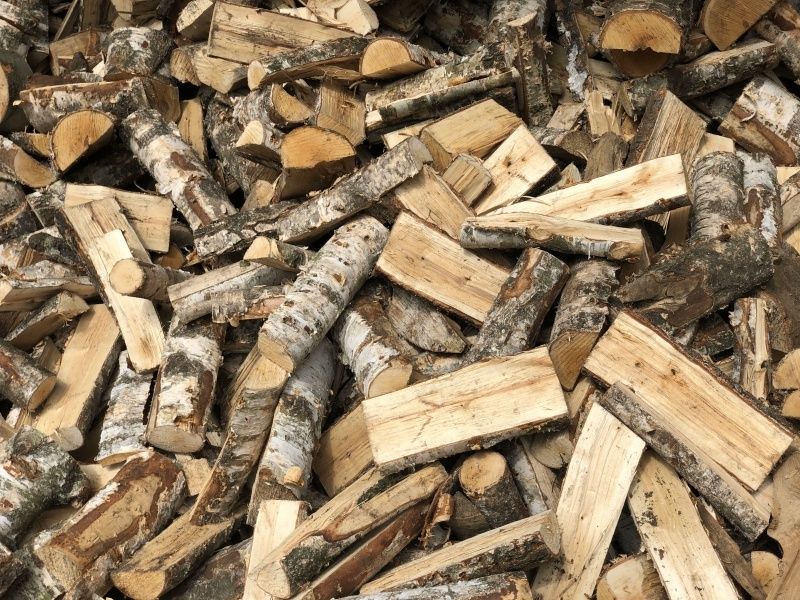 Drzewo drewno opałowe kominkowe  brzoza Dąb na następny sezon grzewczy