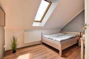 Pokoje Gościnne Fokus