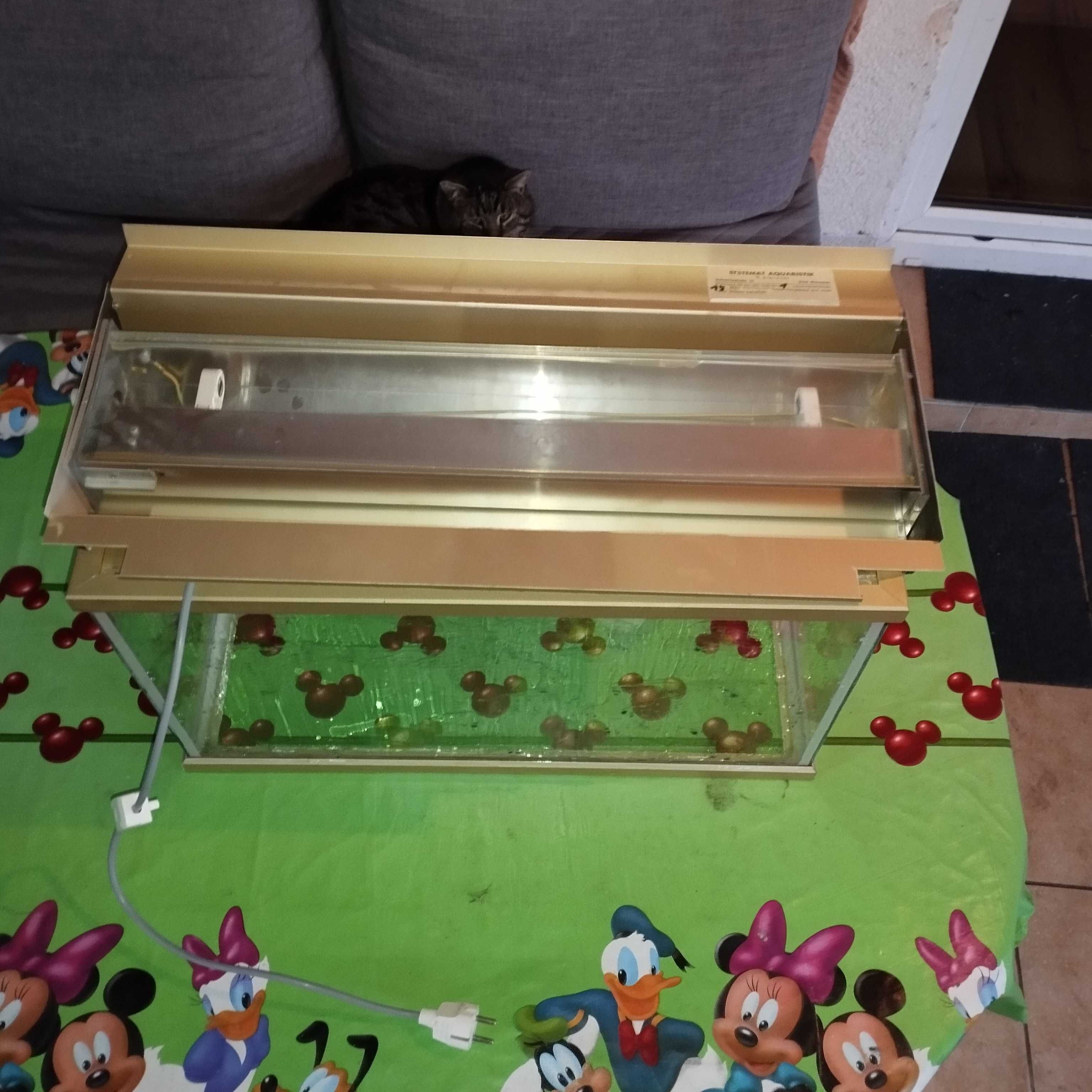Akwarium 60x35x30 + lampa dużo modeli w ofercie