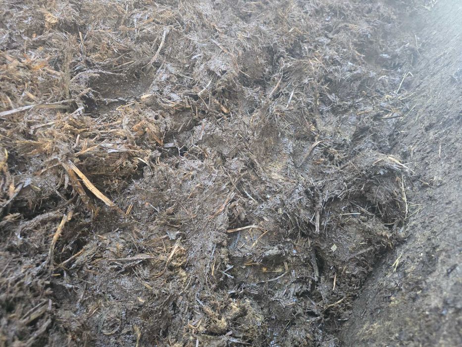 Pomiot kurzy..obornik nawóz..bydlęcy