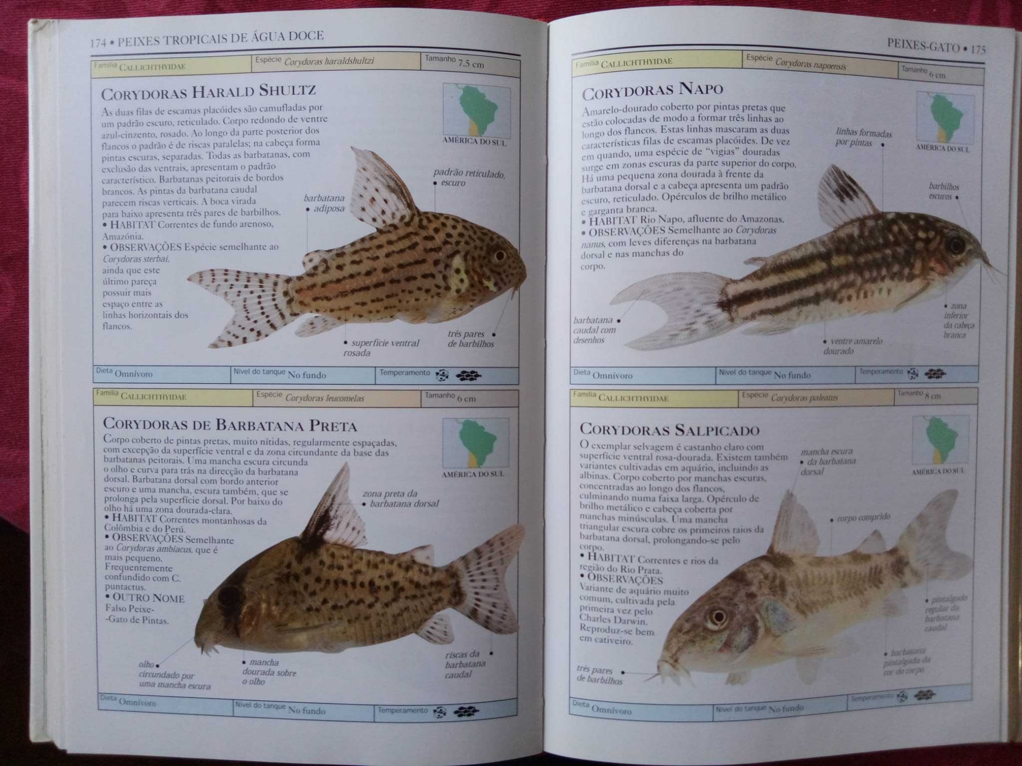 Livro "Peixes de Aquário"