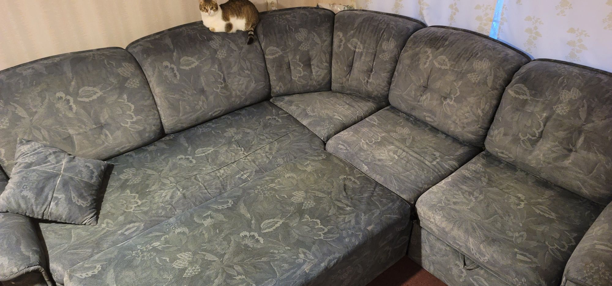Продам диван 3.5М После чистки.
