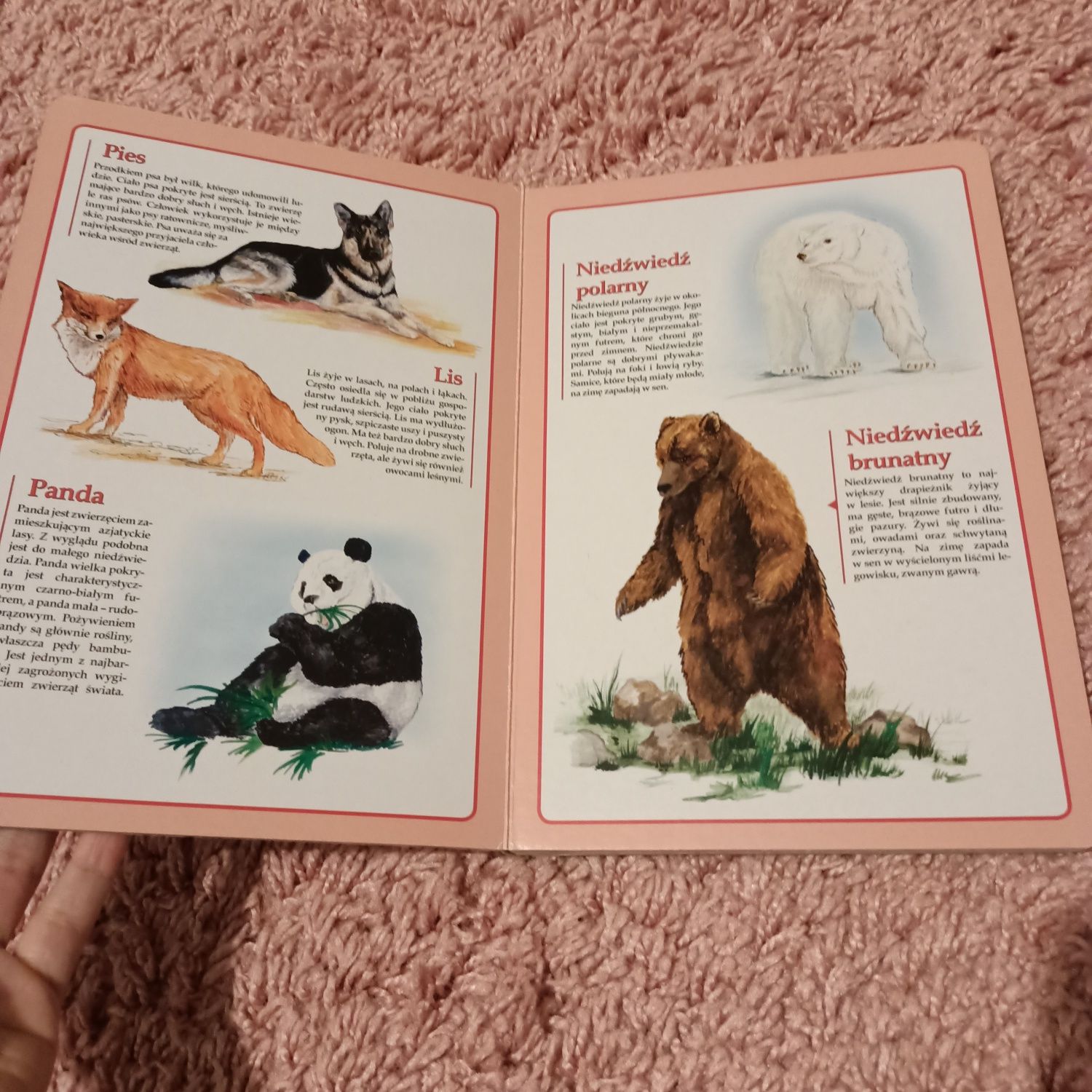 Książka,, atlas zwierząt dla dzieci,,