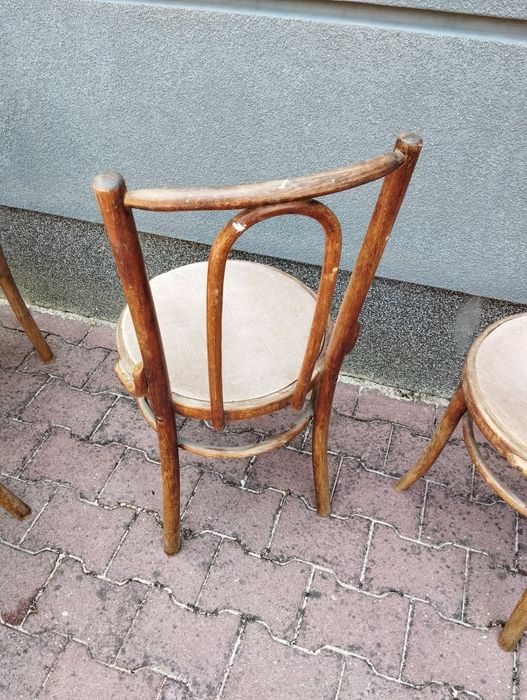 Krzesła 4 szt Thonet Fameg