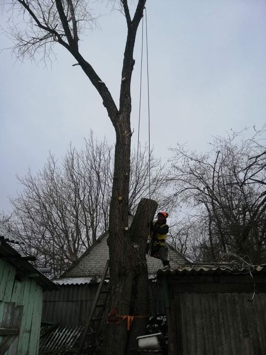 Зрізання аварійних дерев.Порізка  на дрова.Подрібнення гілля.