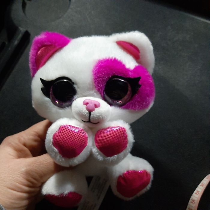 Kotek brokatowe oczy