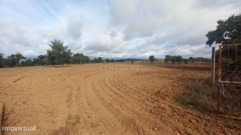 Terreno Rustico com 13500 M2 Lardosa