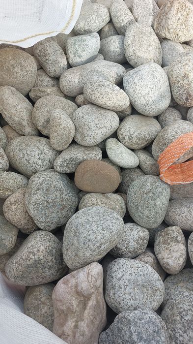 Promocjia dalmatyńczyk kamień granitowy 16-22