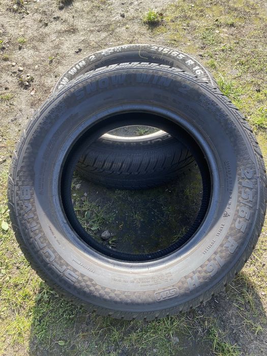 Opony Sportiva Snow Win 2 2017r.