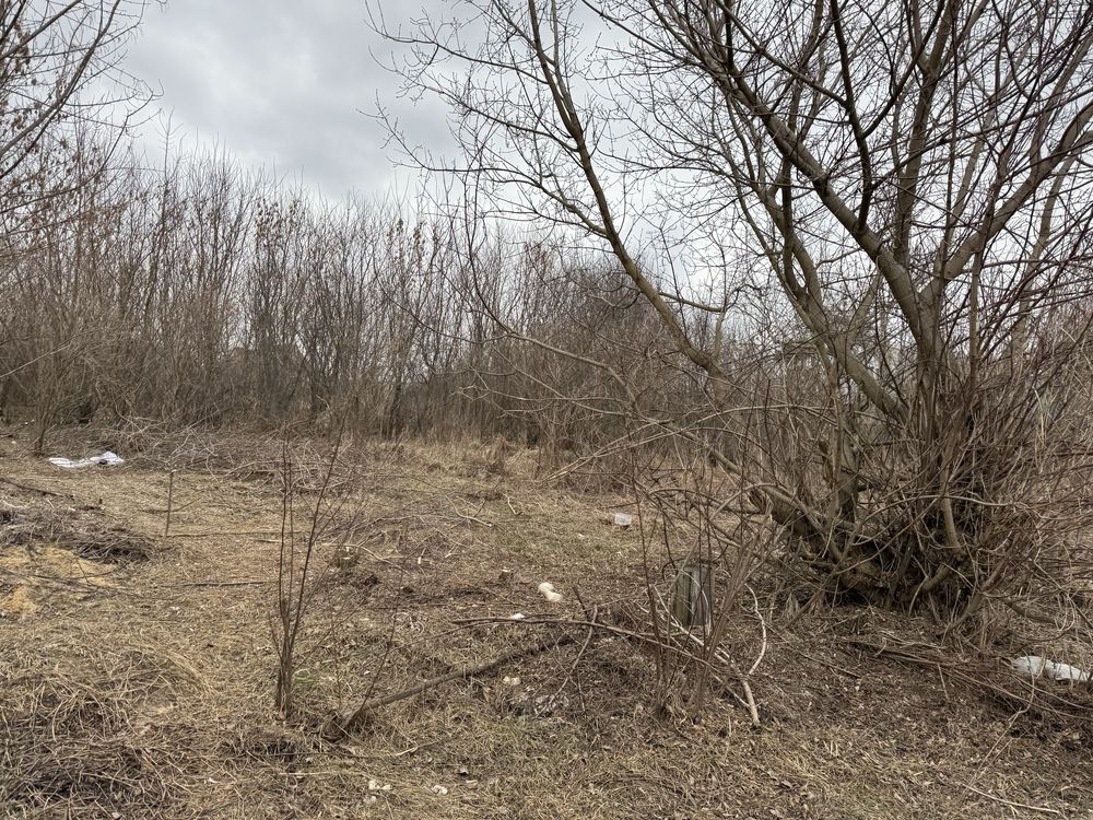 Васильків Березанщина Кобці продаж 40 соток під забудову