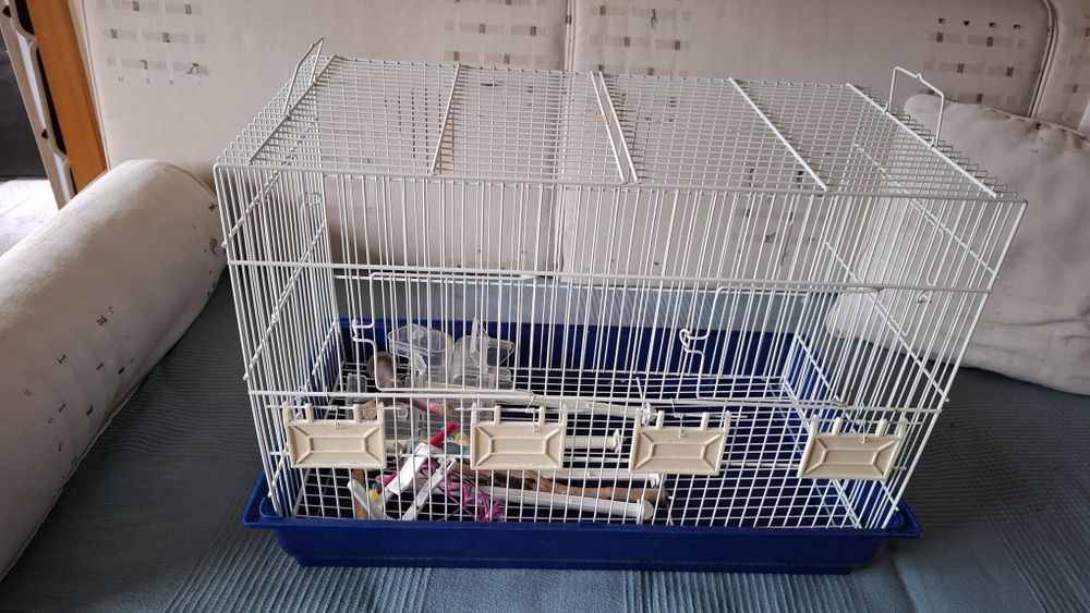 Gaiola pássaros em metal