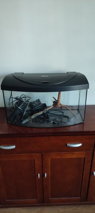 Akwarium 54l z pokrywą firmy DIVERSA