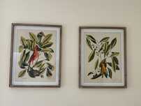 Quadros decorativos