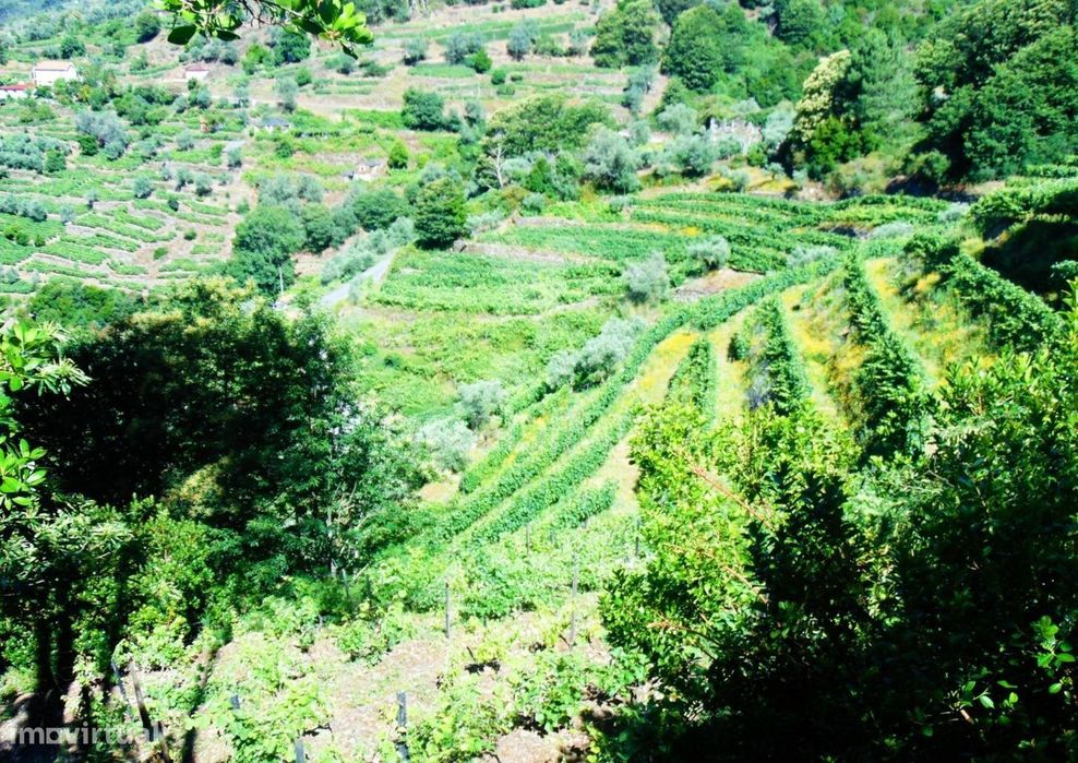 Terreno em Louredo / Santa Marta Penaguião
