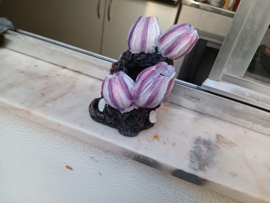 Decoração para aquario