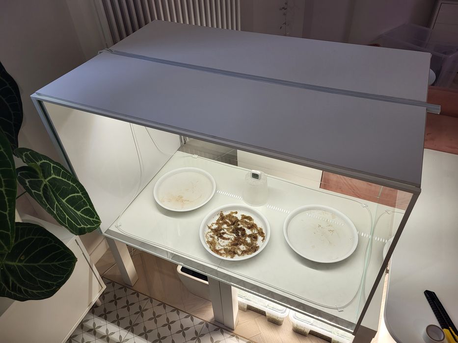 Terrarium szklane dla roślin - gotowy zestaw, wieksze od milsbo