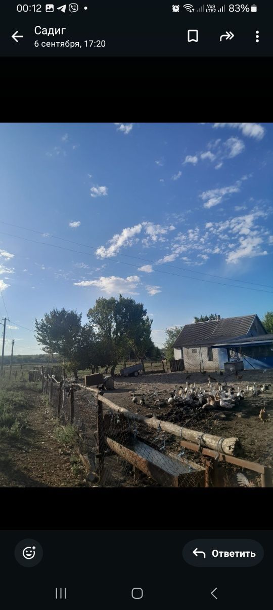 Продам дом в Тритузном по центральной улице.