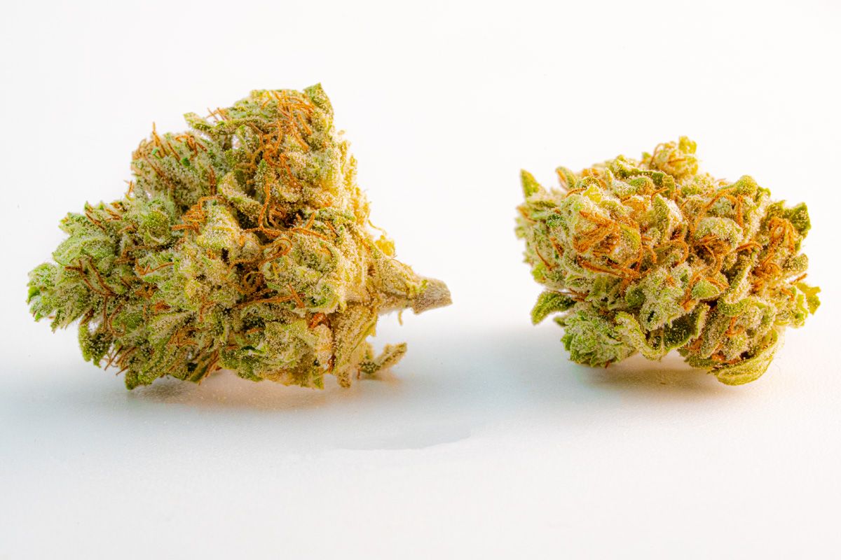 Lemon Haze susz konopny CBD (100g-10000g) 1000g