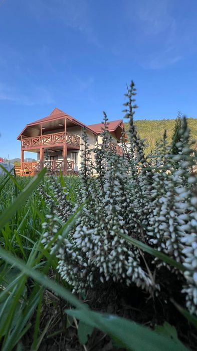 Садиба Магнолія з чаном (відпочинок в Карпатах)