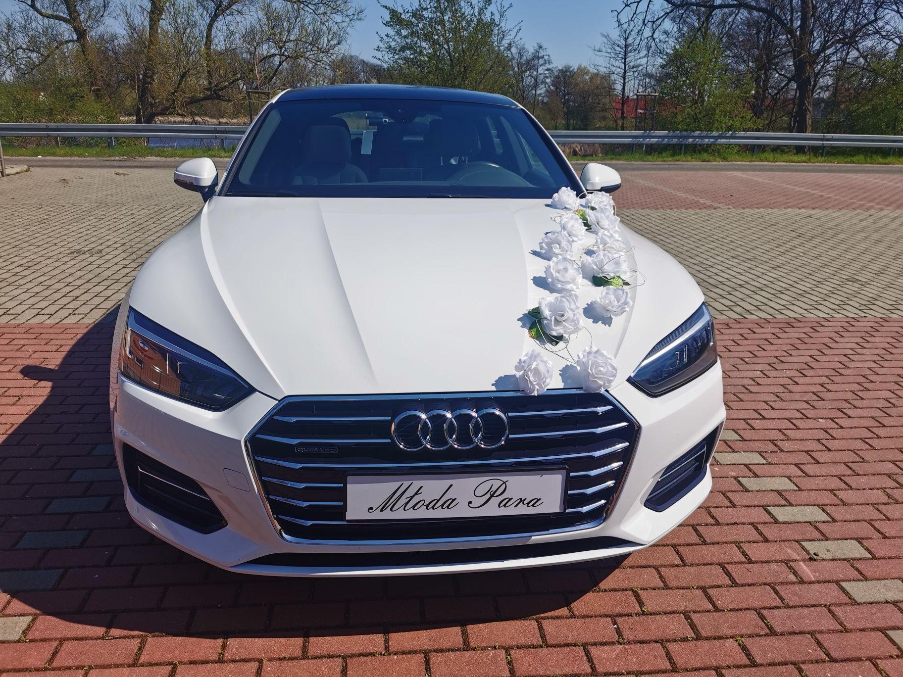 Auto do Ślubu Audi