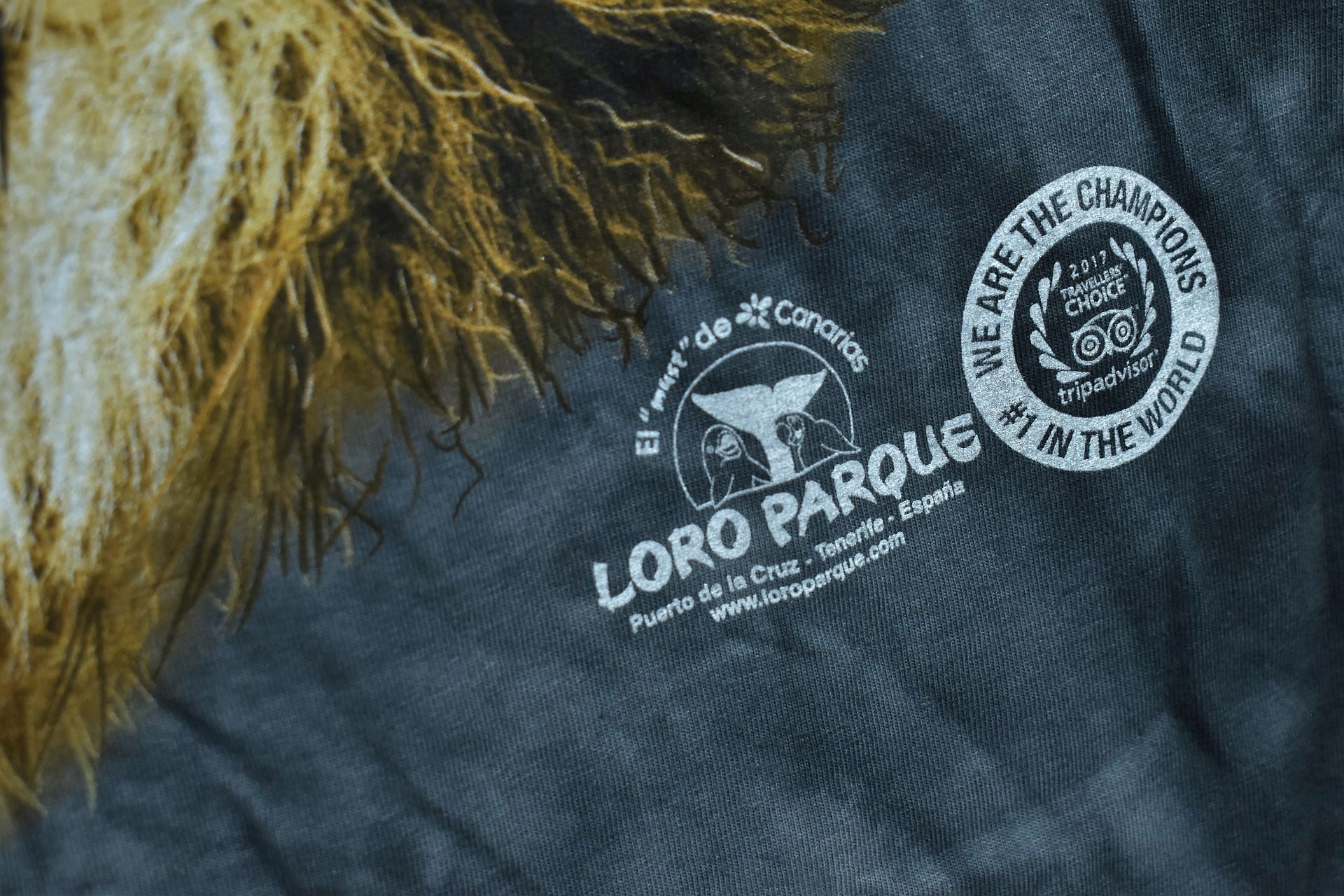 Loro Parque Koszulka Z Nadrukiem Lwa Print Xl