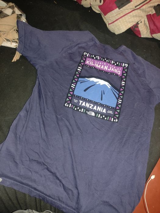 Футболка The North Face