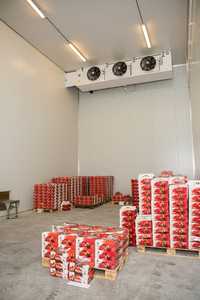 Черешня,вишня зберігання холодильна камера для охолодження Рівне,Дубно