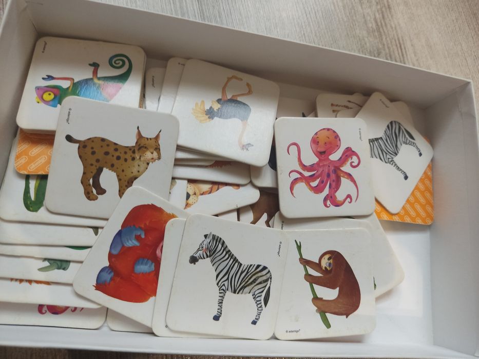 Menory dwie gry polecam