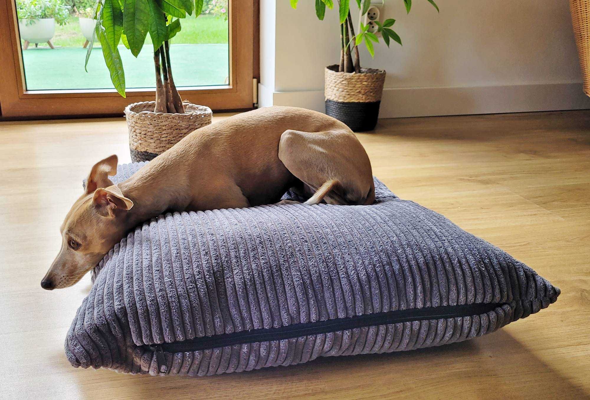 Legowisko poduszka dla psa MOLLY (60x50 cm, Szary)