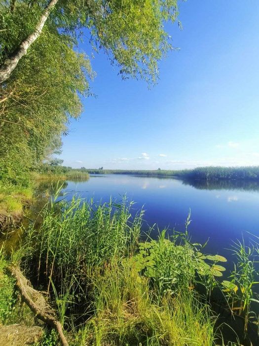 Продажа дачі в СТ Славутич с.Коробівка